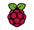 Raspberry pi icon.png